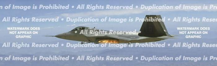 FA-22 Raptor Rear Window Decal - Custom Vinyl Graphics FA-22 Raptor Rear Window Decal - Custom Vinyl Graphics