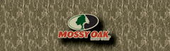 Bottomland With Logo Rear Window Decals - Custom Vinyl Graphics