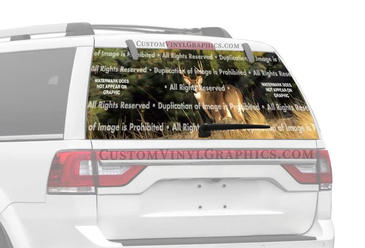 Pinch Me Rear Window Decal – Custom Vinyl Graphics
