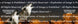 Product image thumbnail 2