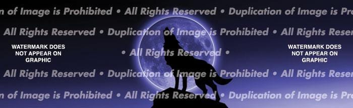 Howling at the Moon Rear Window Decal - Custom Vinyl Graphics