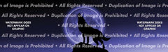 Howling at the Moon Rear Window Decal - Custom Vinyl Graphics