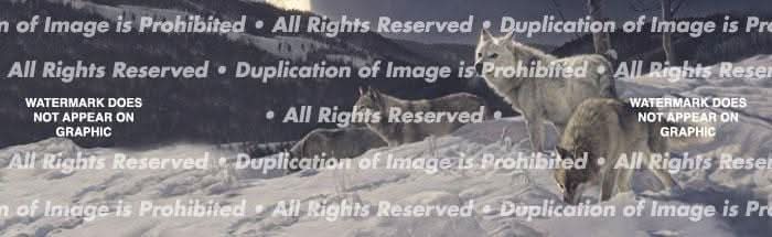 Hunters Moon Rear Window Decal – Custom Vinyl Graphics