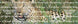 Product image thumbnail 2