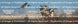 Product image thumbnail 2