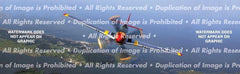 P-51 Mustang Rear Window Decal - Custom Vinyl Graphics