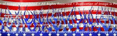 Patriotic Flames Rear Window Decal - Custom Vinyl Graphics