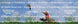 Product image thumbnail 2
