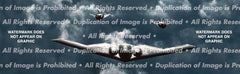Stealth Squadron Rear Window Decal - Custom Vinyl Graphics