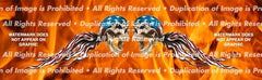 USA Skulls 2 Rear Window Decal - Custom Vinyl Graphics