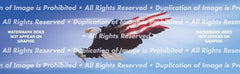 Wings of Freedom Rear Window Decal - Custom Vinyl Graphics