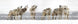 Product image thumbnail 2