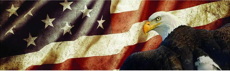 Vintage Flag Eagle Truck Window Decal - Custom Vinyl Graphics