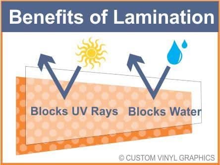 New Orleans Hornets Rear Window Decal - Custom Vinyl Graphics