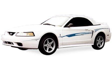 Bayonet Vinyl Graphic - Custom Vinyl Graphics