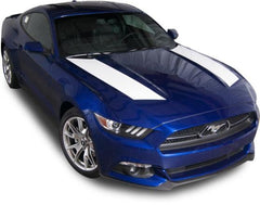 Mustang Sting Solid - Custom Vinyl Graphics