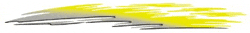 Nitrous Vinyl Graphic - Custom Vinyl Graphics