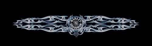 Bolt Blade Harley-Davidson Rear Window Decal – Custom Vinyl Graphics