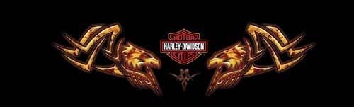 Chrome Eagle Harley-Davidson Rear Window Decal - Custom Vinyl Graphics