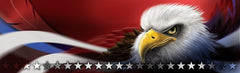 Eagles Pride Rear Window Decal - Custom Vinyl Graphics