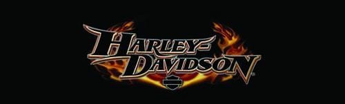 Glow Name Harley-Davidson Rear Window Decal - Custom Vinyl Graphics