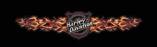 Hot Shield Harley-Davidson Rear Window Decal - Custom Vinyl Graphics