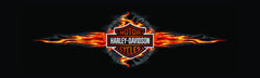 Hot Spin Harley-Davidson Rear Window Decal - Custom Vinyl Graphics