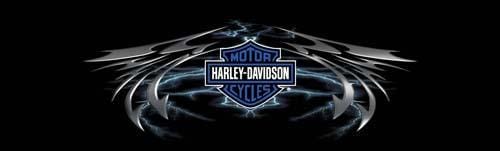 Lightning Wing Harley-Davidson Rear Window Decal - Custom Vinyl Graphics