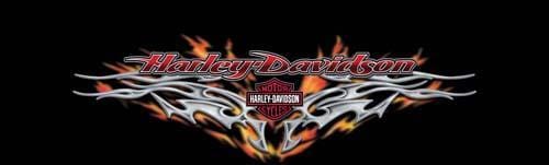 Steel Heart Harley-Davidson Rear Window Decal - Custom Vinyl Graphics
