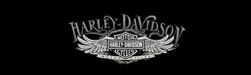 Wire Wing Harley-Davidson Rear Window Decal - Custom Vinyl Graphics