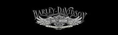 Wire Wing Harley-Davidson Rear Window Decal - Custom Vinyl Graphics