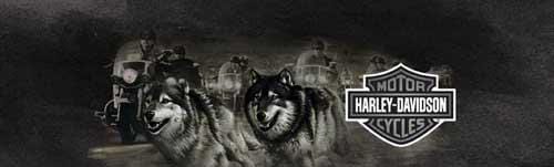 Wolf Edge Harley-Davidson Rear Window Decal - Custom Vinyl Graphics