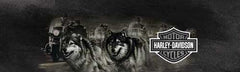 Wolf Edge Harley-Davidson Rear Window Decal - Custom Vinyl Graphics