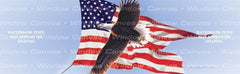 American Flying Eagle Rear Window Decal - Custom Vinyl Graphics