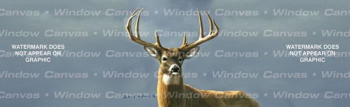 Autumn Whitetails I Rear Window Decal - Custom Vinyl Graphics
