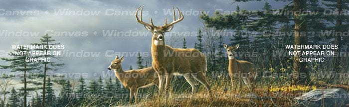 Autumn Whitetails Rear Window Decal - Custom Vinyl Graphics