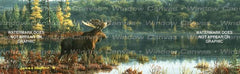 Black Bay Moose Rear Window Decal - Custom Vinyl Graphics
