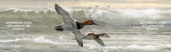 Canvasbacks 1 Rear Window Decal - Custom Vinyl Graphics