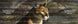 Product image thumbnail 2