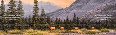 Elk Rear Window Decal - Custom Vinyl Graphics