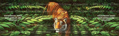 Firelines Rear Window Decal - Custom Vinyl Graphics