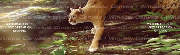 Focus Rear Window Decal - Custom Vinyl Graphics
