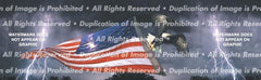Freedom Flight Rear Window Decal - Custom Vinyl Graphics