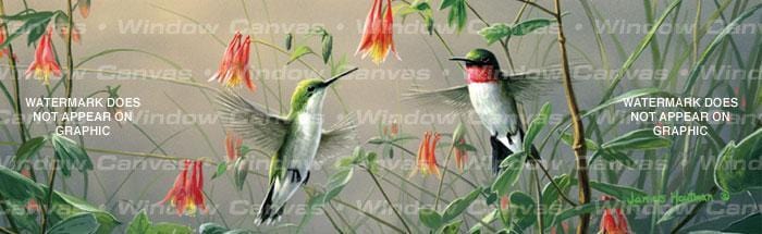 Hummingbird Colombines Rear Window Decal - Custom Vinyl Graphics
