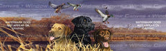 Labs In Marsh Rear Window Decal - Custom Vinyl Graphics