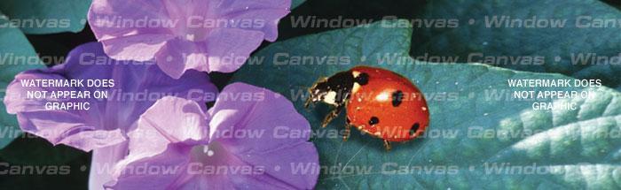 Lady in Red Rear Window Decal - Custom Vinyl Graphics