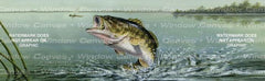Large Mouth Bass Rear Window Decal - Custom Vinyl Graphics