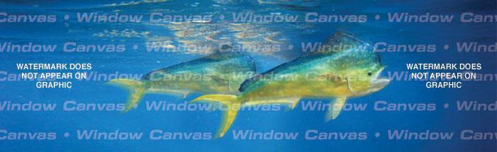 Mahi Mahi Rear Window Decal - Custom Vinyl Graphics