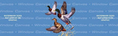 Mallard Trio Rear Window Decal - Custom Vinyl Graphics