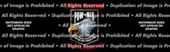 No One Forgets Rear Window Decal - Custom Vinyl Graphics